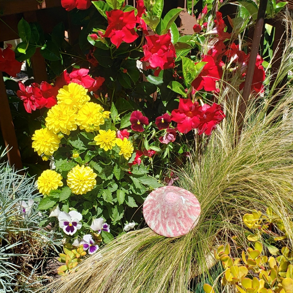 Meet your Posher, Tj